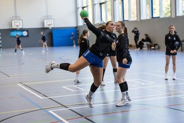 Bild 193 - wBJ HTS/BW96 Handball - Niendorfer TSV : Ergebnis: 27:27